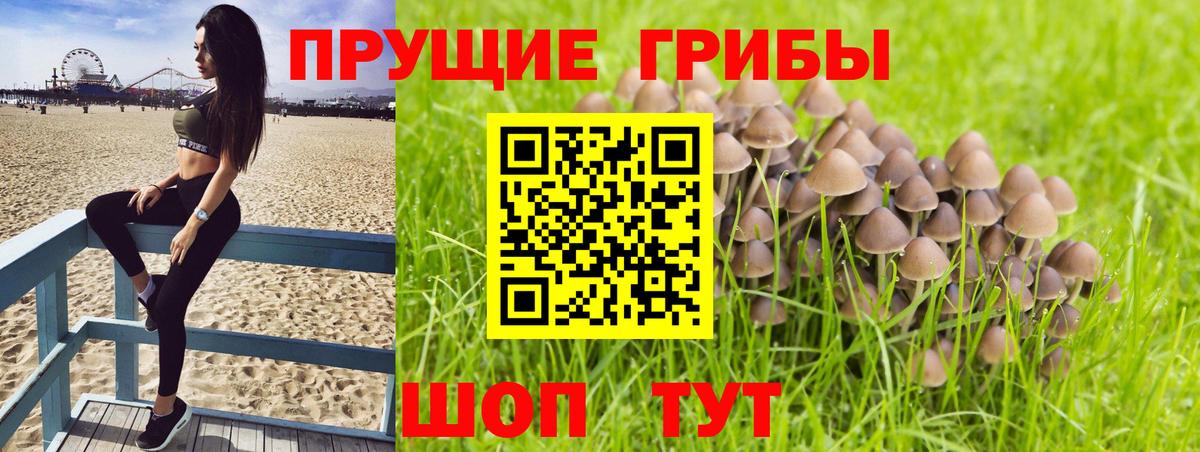 Галлюциногенные грибы мухоморы Жуковский