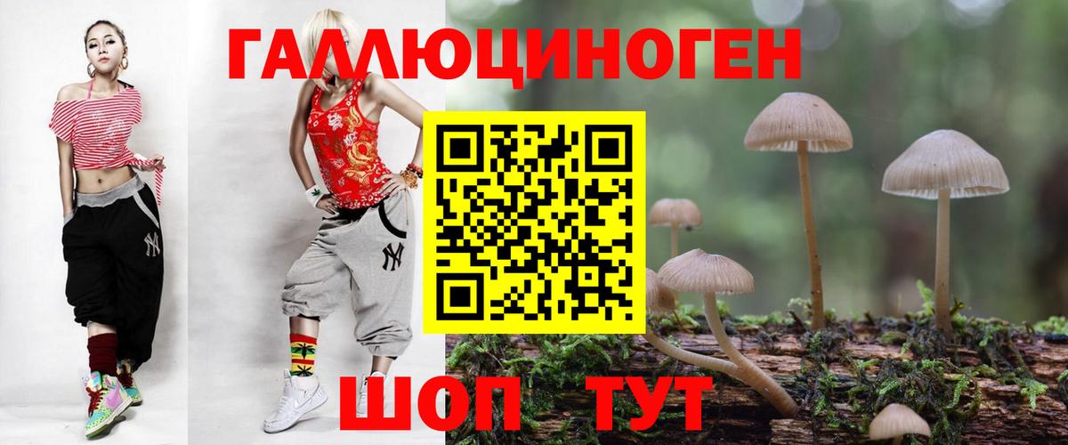 Псилоцибиновые грибы GOLDEN TEACHER  Вход с VPN  Жуковский 